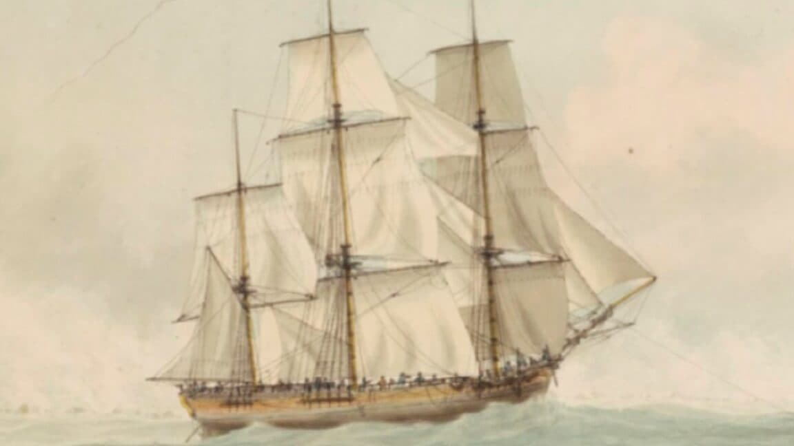 "🚢 HMS Endeavor wreck found: Now we just need to find my lost motivation💀💔 #Wrecked #Cringe"