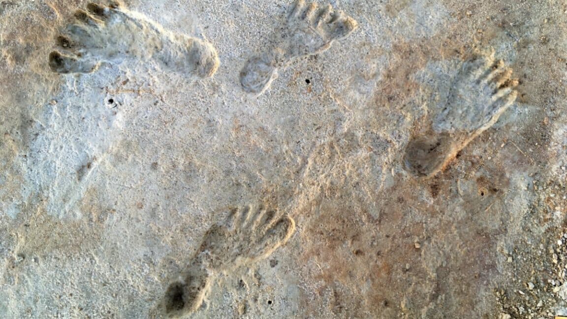 "New dating on White Sands footprints got scientists like 😱🔥 Confirming theories like it's a TikTok trend! #NoCap"