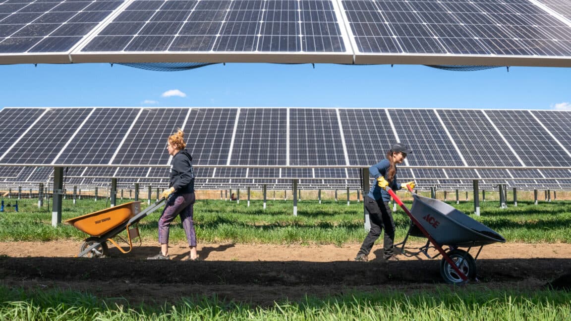 "Southwest farmers be like: 🌞🔌 Solar panels = crop power-ups! 🥕💥 No cap, it's a vibe! #GreenEnergy 👾✨"