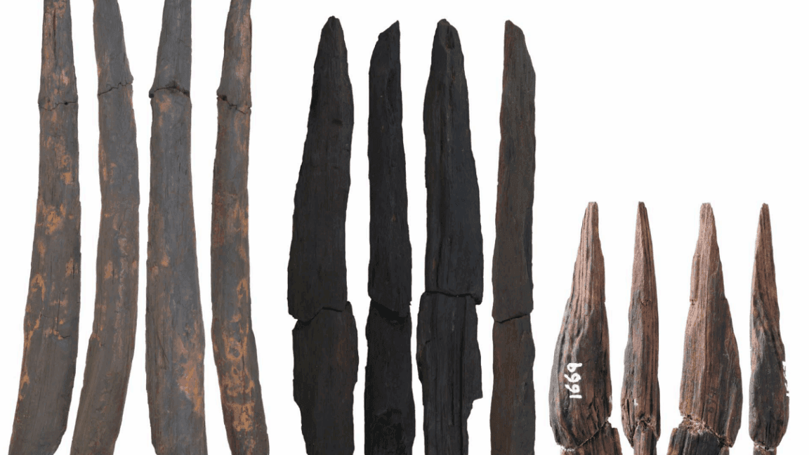 "Ancient wooden tools found in East Asia: Were they made by a woodpecker or a neanderthal? 😂🪵 #ArtifactDrama"