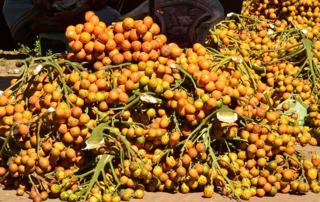 "Betel nuts: the OG buzz since 4000 B.C.💀🪴 No cap, ancient vibes still slapping 🔥 #AncientEnergy"