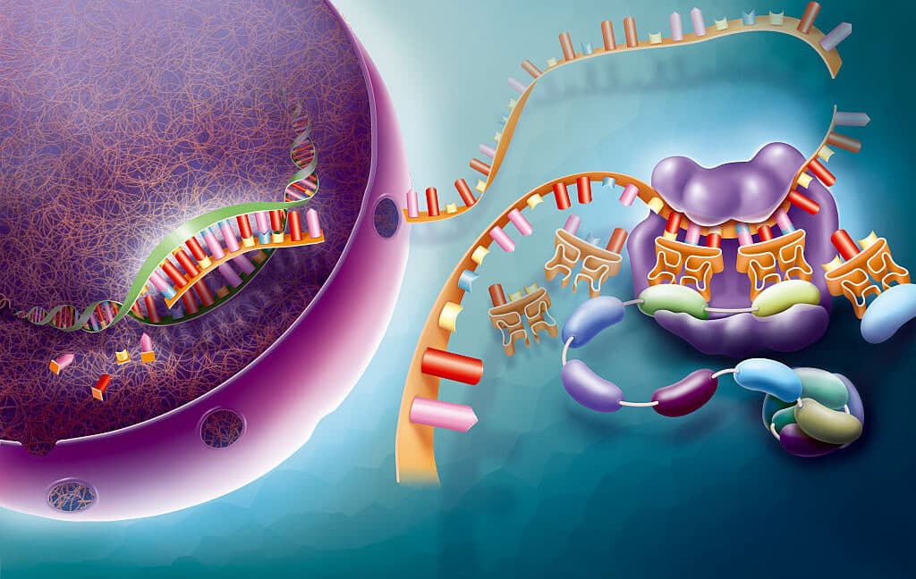 "When your AI thinks mitochondria are just party mitochondri 😂💀 #BiologyFails #NotAGoodLook"