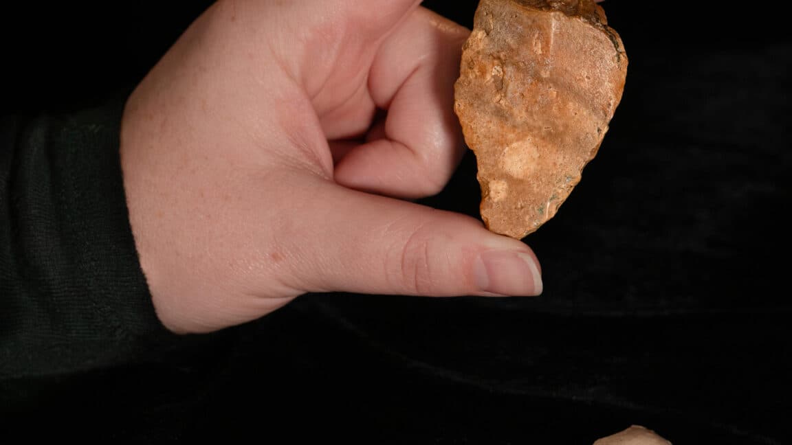 "When your stone tools level up and reveal ancient fam isn't just a TikTok filter 💀🪨 #HomoFloresiensis"