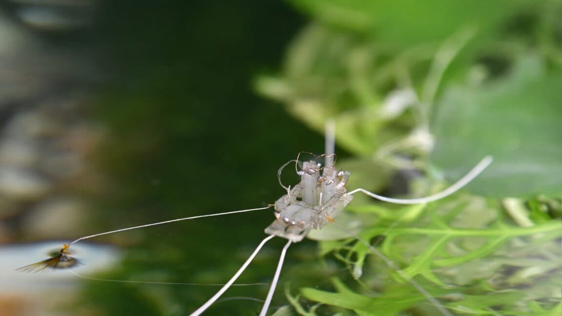 "Robots doing more than your ex 🥲💦 Evolution really said 'Bless Up' for the drip! 🚀💀"