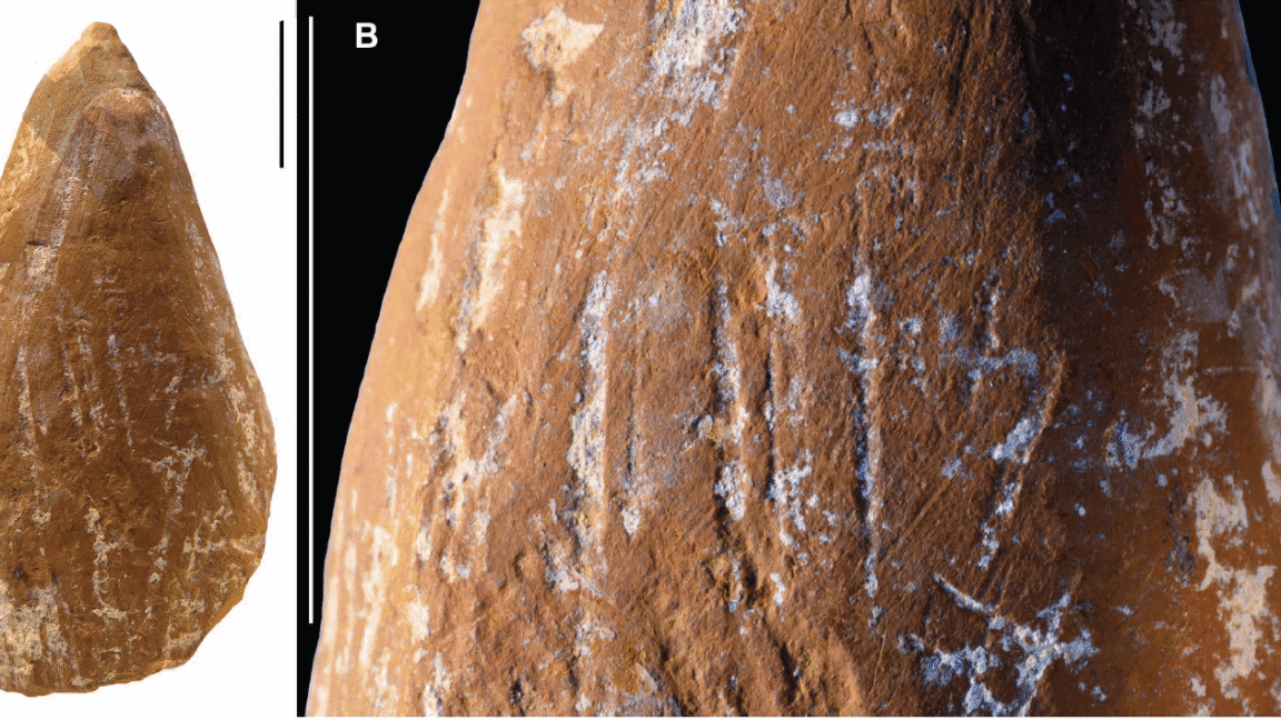 Neanderthals be like: "We made art before it was cool" π¨π Ocher crayons? No cap, total vibe! ππ₯