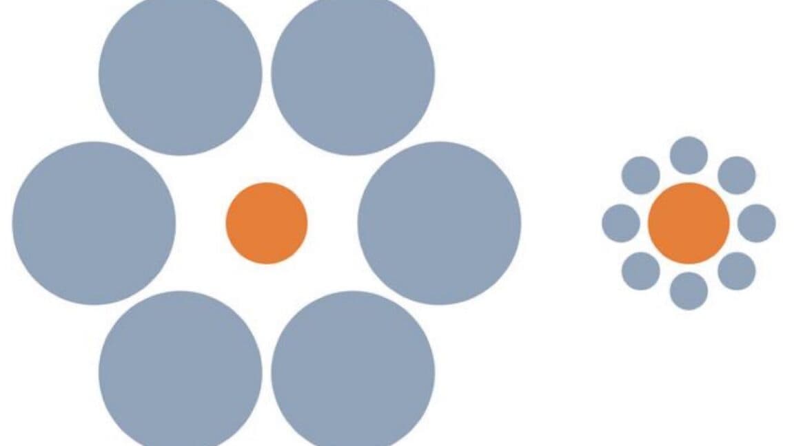 "When your dog sees snacks but it’s just a mirage 😱🐶✨ #OpticalIllusions #FurryFails"