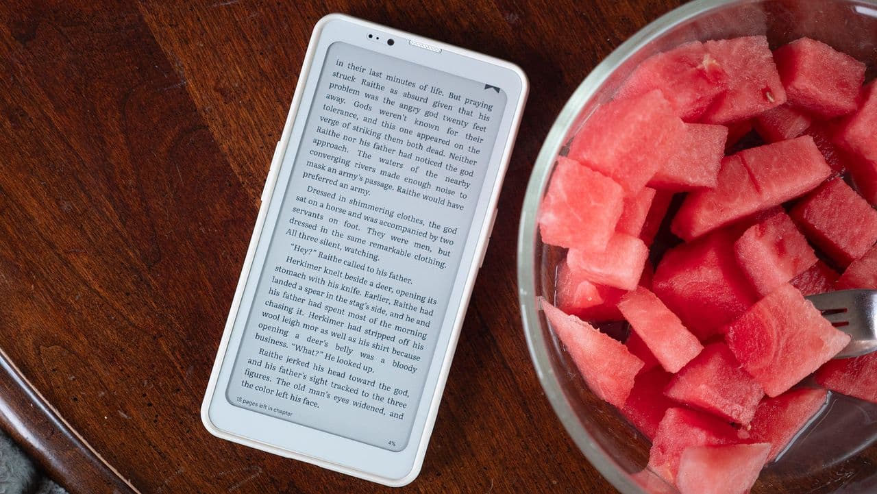 🐢📱 When you wanted a Kindle but got a flex on the E Ink Android instead! #DreamsDoComeTrue 🚀🔥