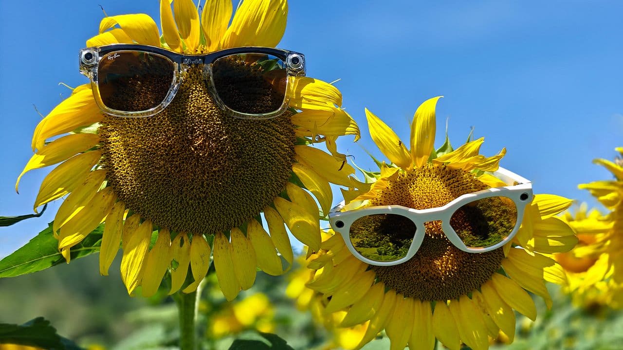 "Oakley Meta HSTN > Ray-Ban Metas but 🤯 wait for it... it's not what you'd think! #MindBlown 💀🚀"
