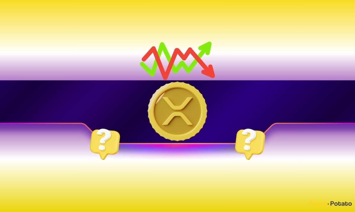 "When ETF inflows hit, but XRP is still stuck in the friend zone 💔🚀 #Cope #XRPFail"