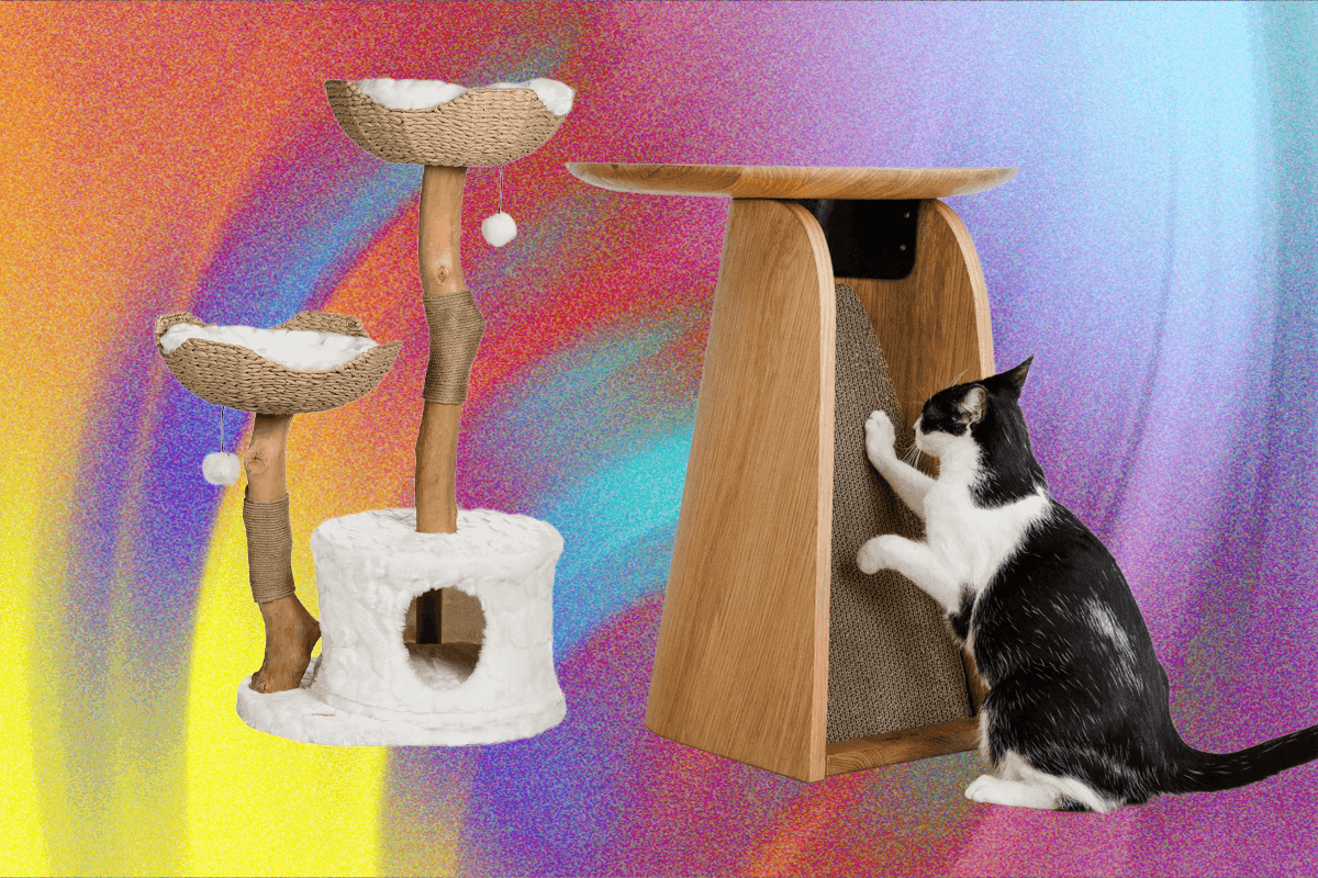 "Top 10 Cat Toys that’ll make your furball look like a TikTok star in 2025! 🐱✨ #PetGoals"