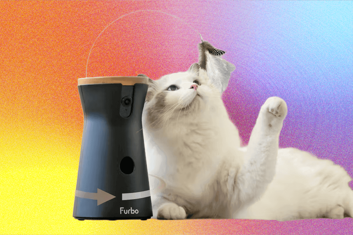 "8 Pet Cameras to Catch Your Furry Friend's Shenanigans in 2025 🔍🐾 #CringeOrBased?!" 💀🔒