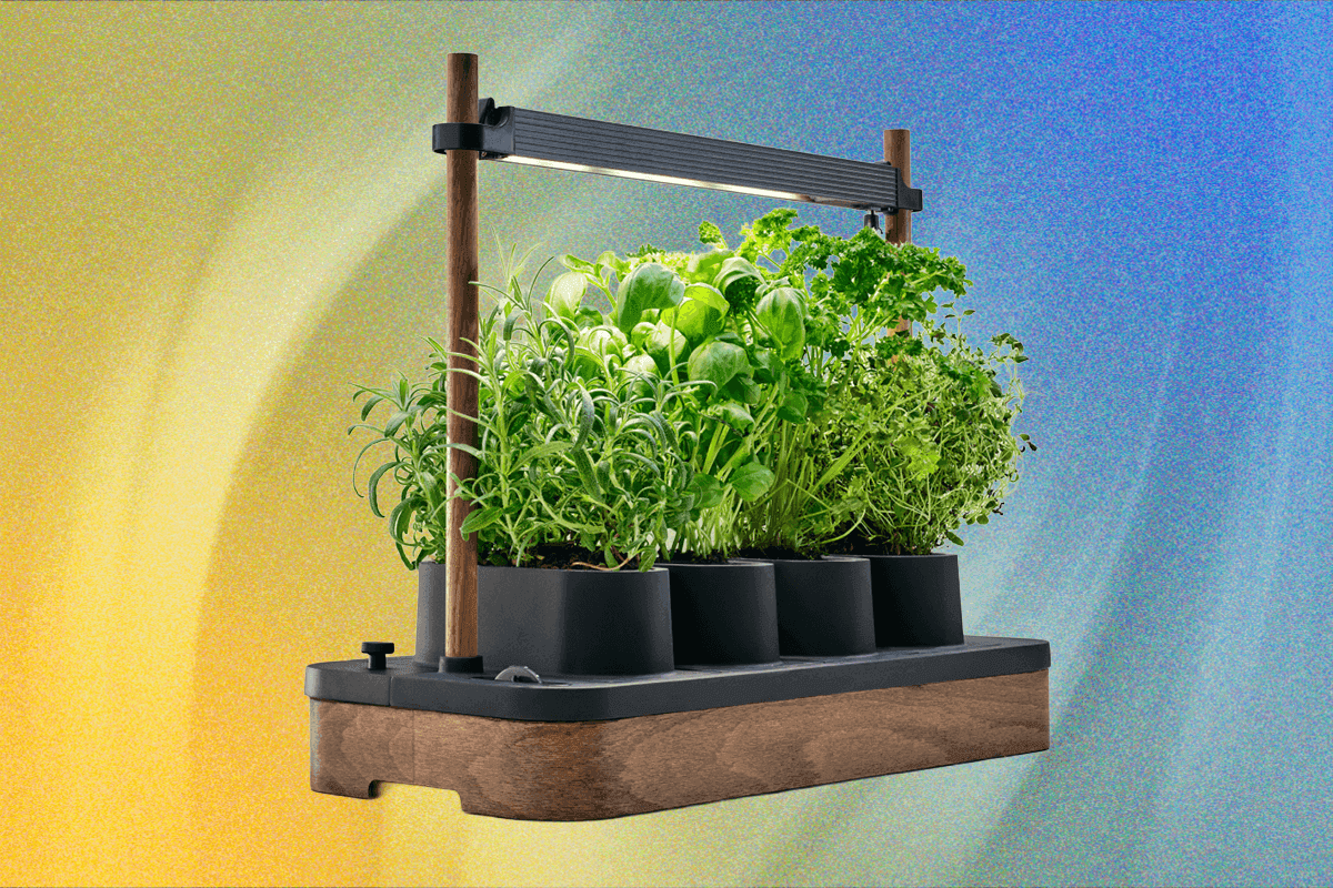 "๐ Auk Mini: Plant seeds like a Nordic boss ๐ฑ๐ช No cap, your garden will be the ultimate glow up! ๐ฅ"