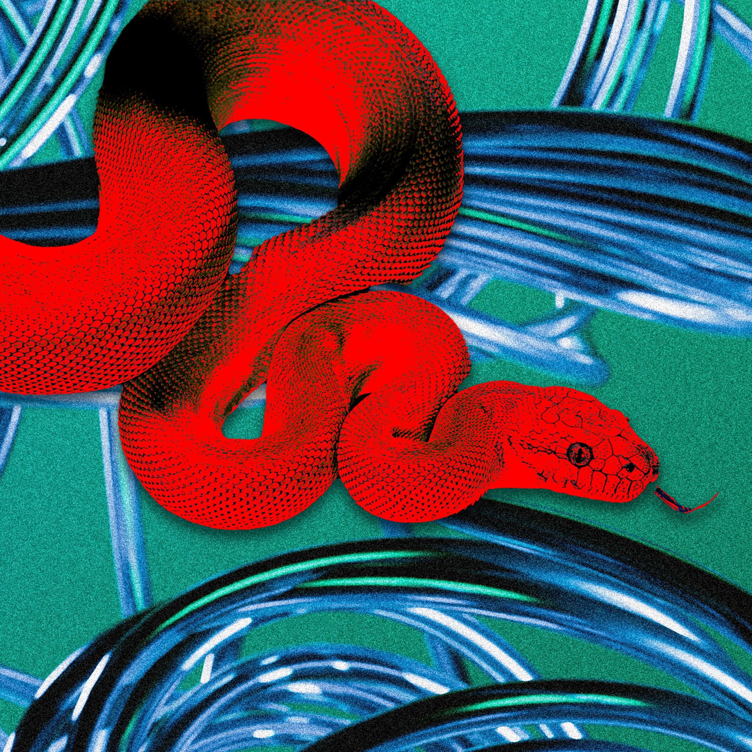 🚨 When your “privacy browser” is low-key a spy 🔍💀, no cap, you just got 007'd! #BigLOL 🤖🔥