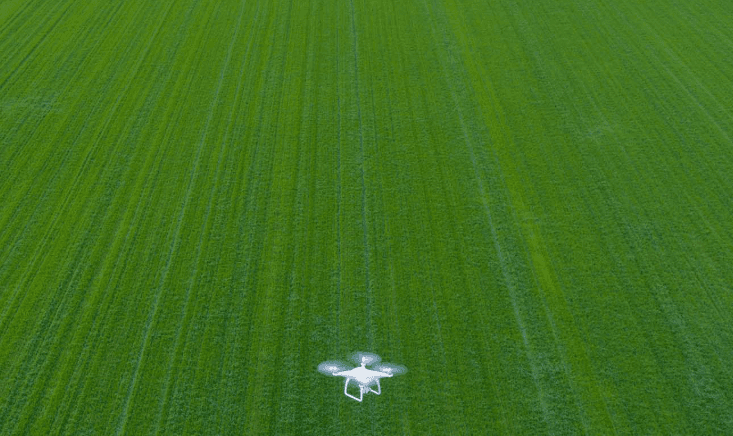 FlyGuys just bagged $13M ๐ฐ to make AI & drones besties ๐๐ค! Skynet is shaking, no cap! ๐๐ฅ