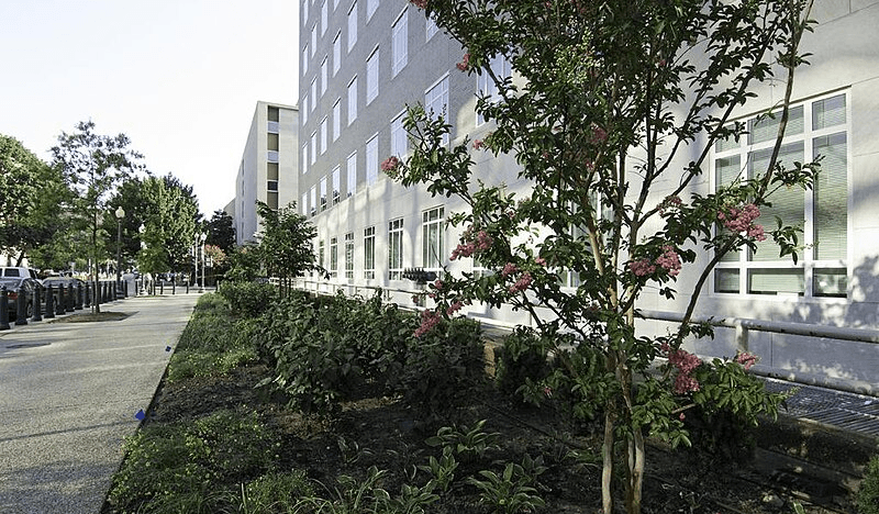 CBO got hacked by foreign peeps—guess who’s NOT getting their tax returns this year? 💸💀 #BudgetBreach🚨