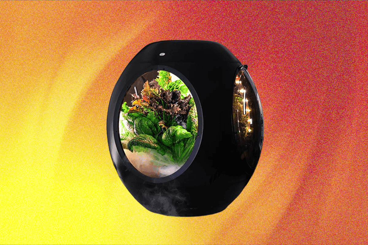 "Plantaform Smart Garden: it's like gardening with extra steps - love it or seethe 🤪💀🌱 #PlantParenting"