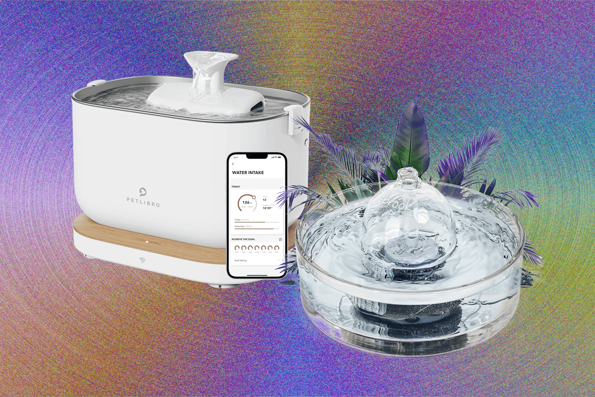 "9 Purr-fect Cat Water Fountains That'll Make Your Fur Baby Hydrate Like a Boss! 🐱💧🚀 #ThirstTrap"