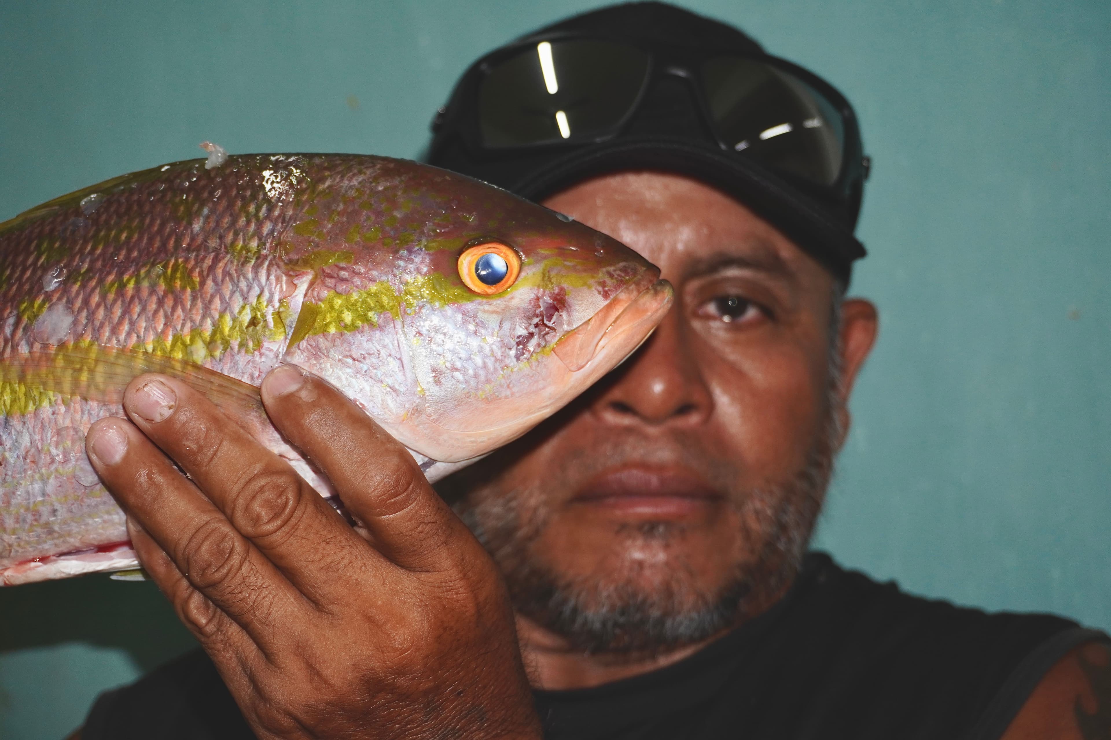 "Mexico's Caribbean: Where Lobster 🍽️ is for the rich & Microplastics 💀 are the free gift for all! #CoastalFail"