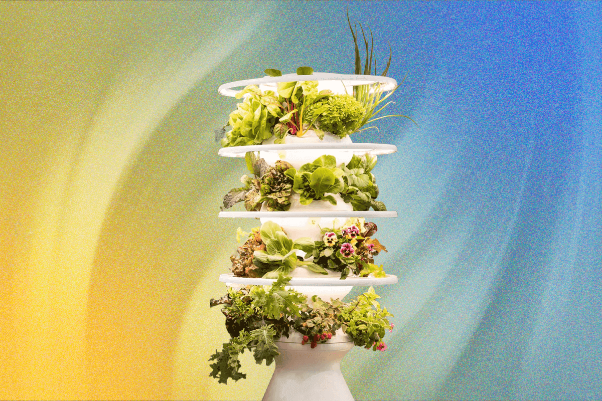 "Just bought a Lettuce Grow farmstand 🍃, now I’m basically a farmer 🌱💪. Let’s hope I don’t kill it 😂🔥!"