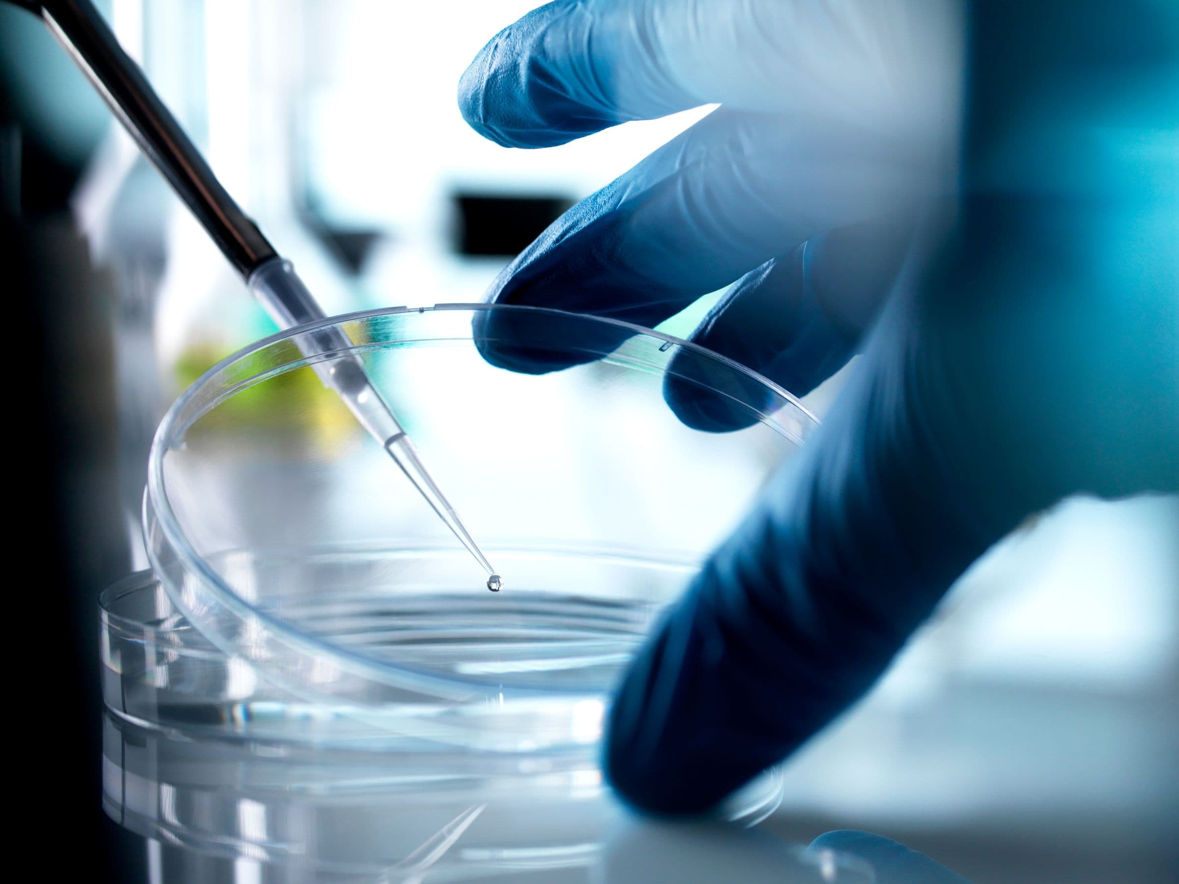 Florida just became the Wild West for stem-cell snake oil! ๐๐ No cap, this is a science fair gone wrong! ๐๐ฅ