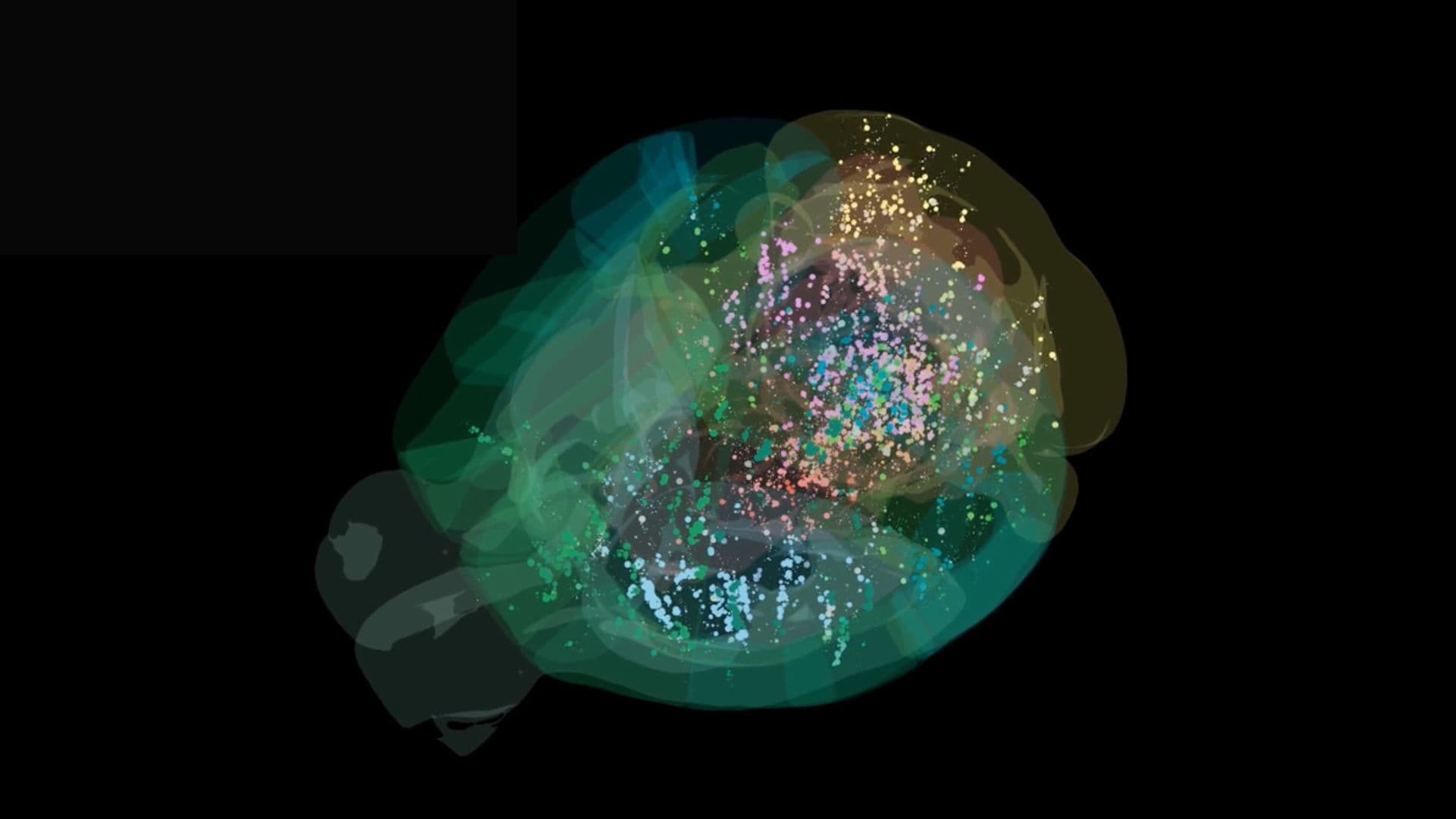 "Yo, scientists just caught a brain making choices like 🧠💡 ‘Should I binge Netflix or study?’ 😂 #DecisionMaking #BigBrainEnergy"