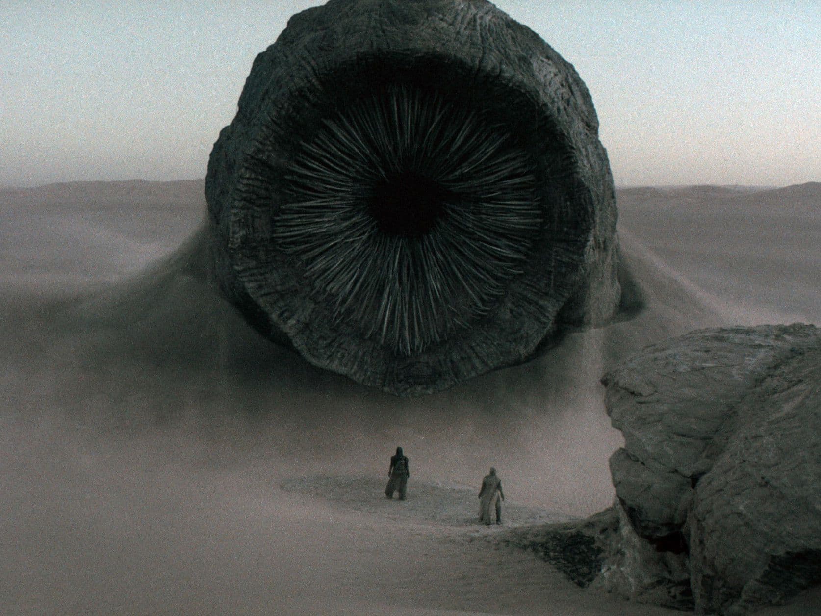 ๐จโ ๏ธ Wormzilla Alert! Software munching harder than your WiFi at 3am! ๐๐ป #NotLikeThis #TechFail