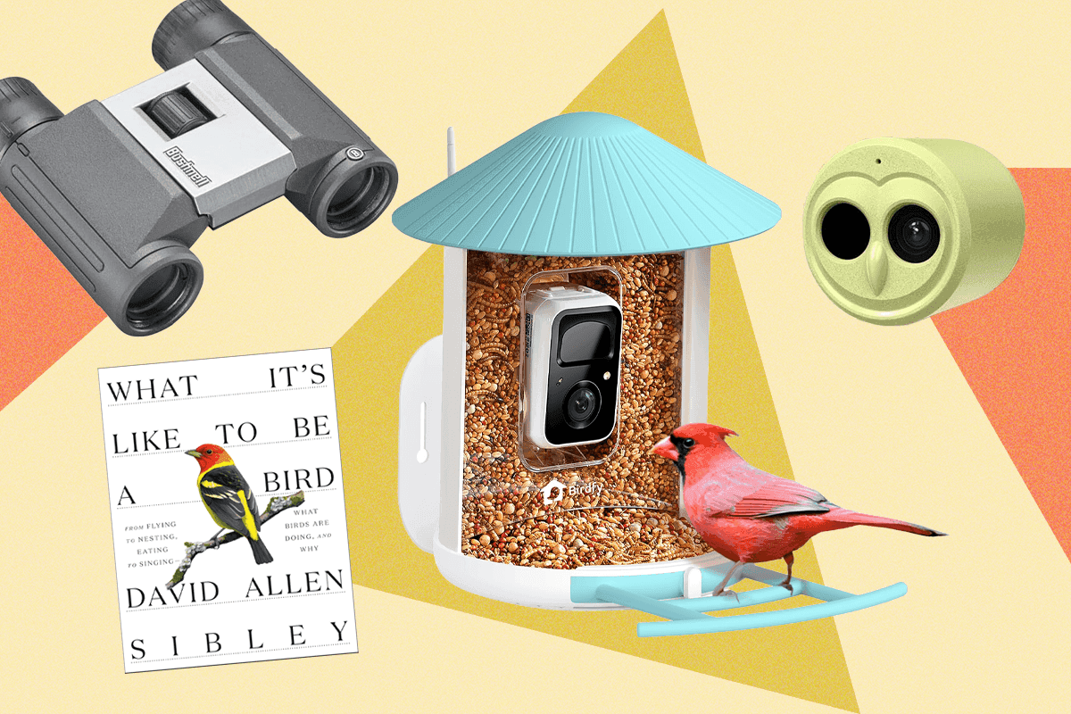 "15 Gift Ideas for Bird Nerds π¦π: Because feathered friends deserve swag too! #BirdGang #Based"