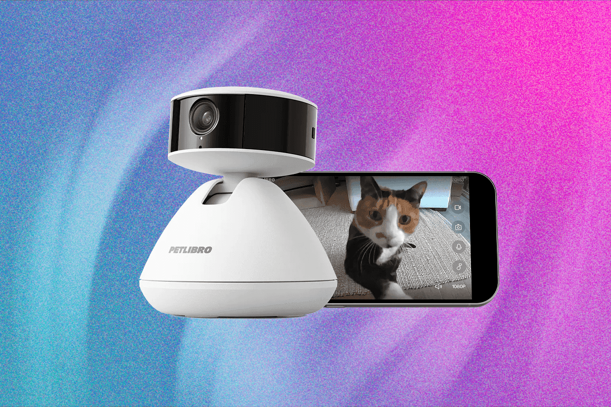 Petlibro Scout Cam: Features & Kinks so wild, even your dog would swipe right! ๐๐ธ๐ฅ #PetTok #WaggingRights