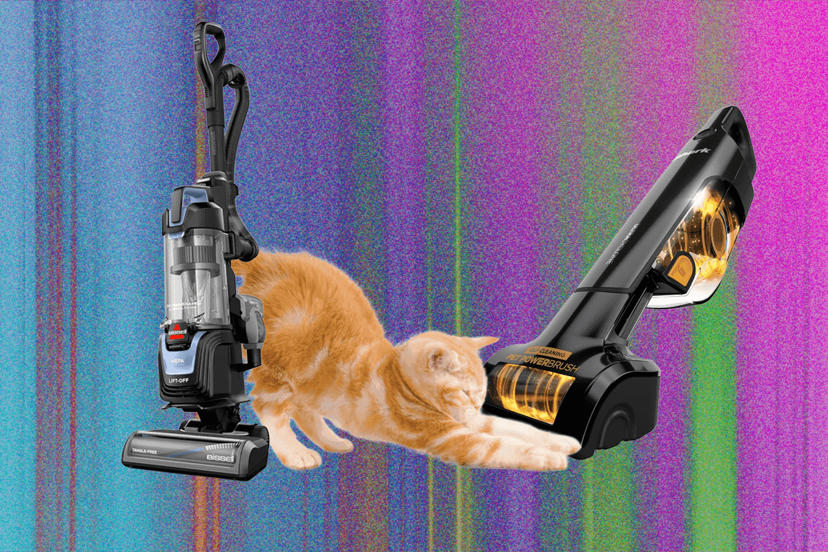 "Vacuum Showdown: 12 Models Enter, Only ONE Can Defeat Pet Fur! 🐾💥 #HairySituations"