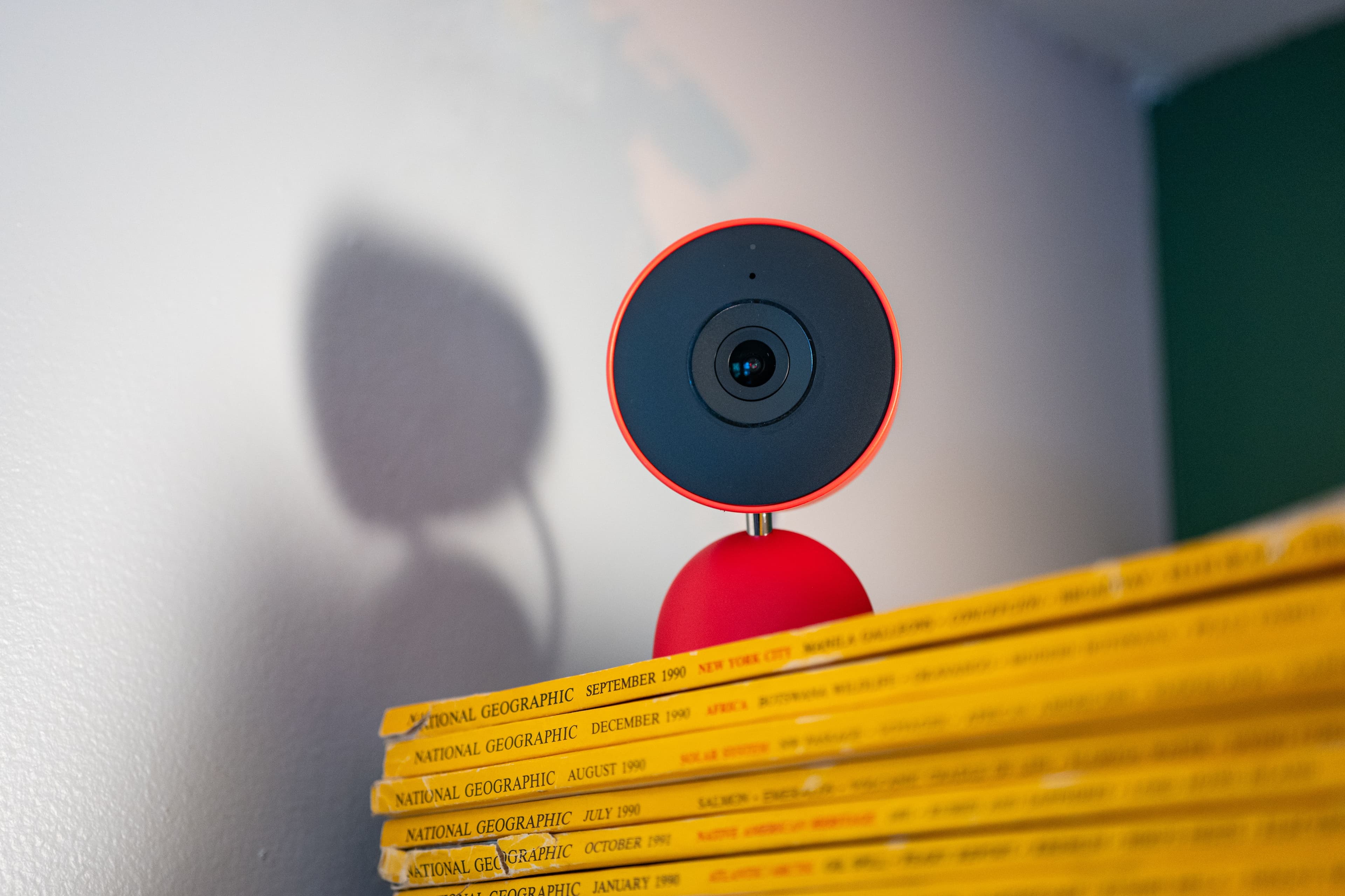 "When your Google Home thinks your dog is a cat 😹💀: Gemini’s lowkey plotting 🤖🔥"