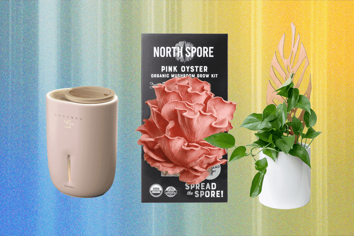 "14 Gifts for Plant Stans that hit harder than my ex's texts ๐ฑ๐ #NoCap #PlantWhisperers"