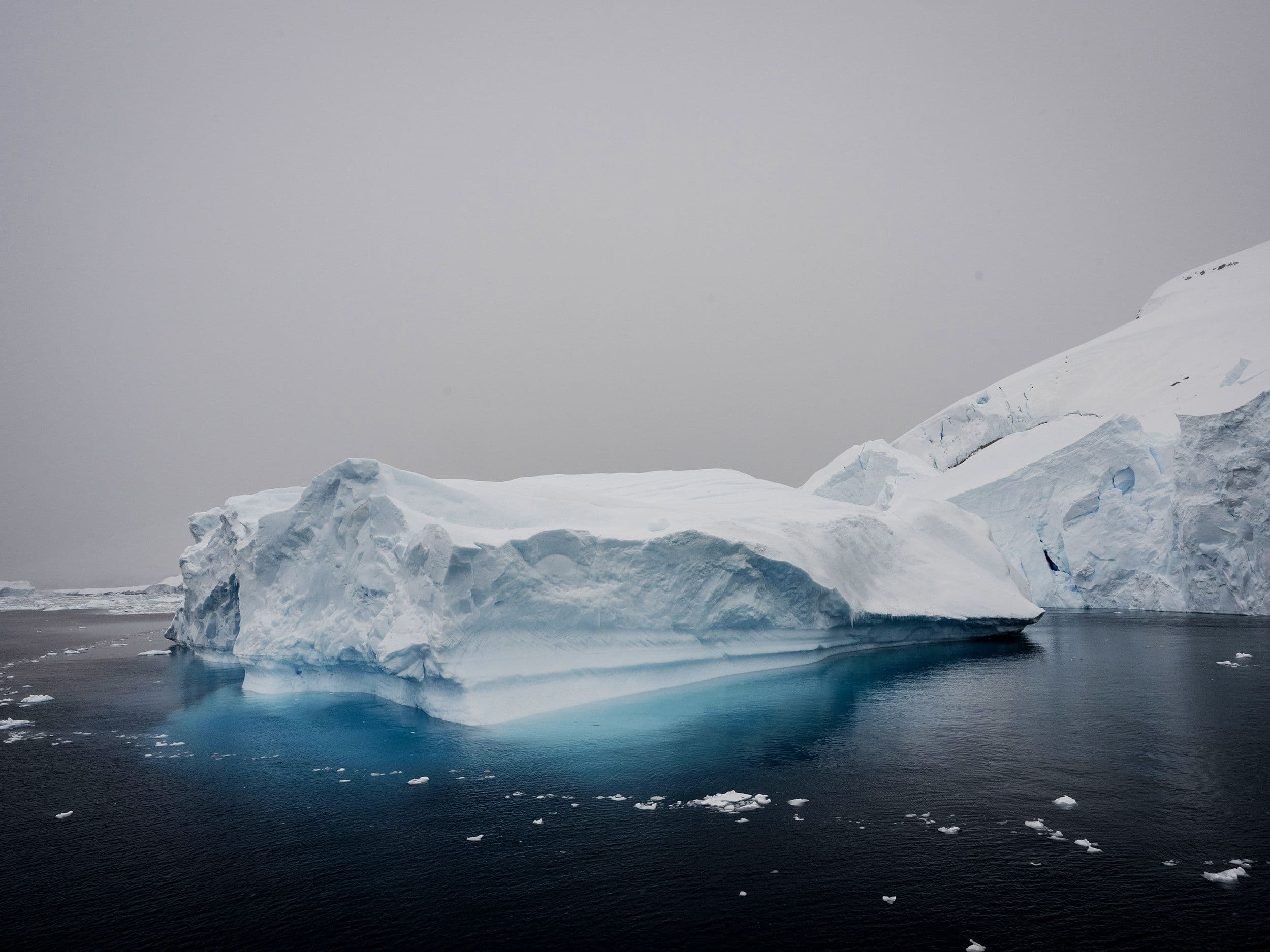 When you try to save the planet but itโs still a whole ass sloth ๐ฆฅ๐ #ClimateCrisis #NotFastEnough ๐โโ๏ธ๐จ