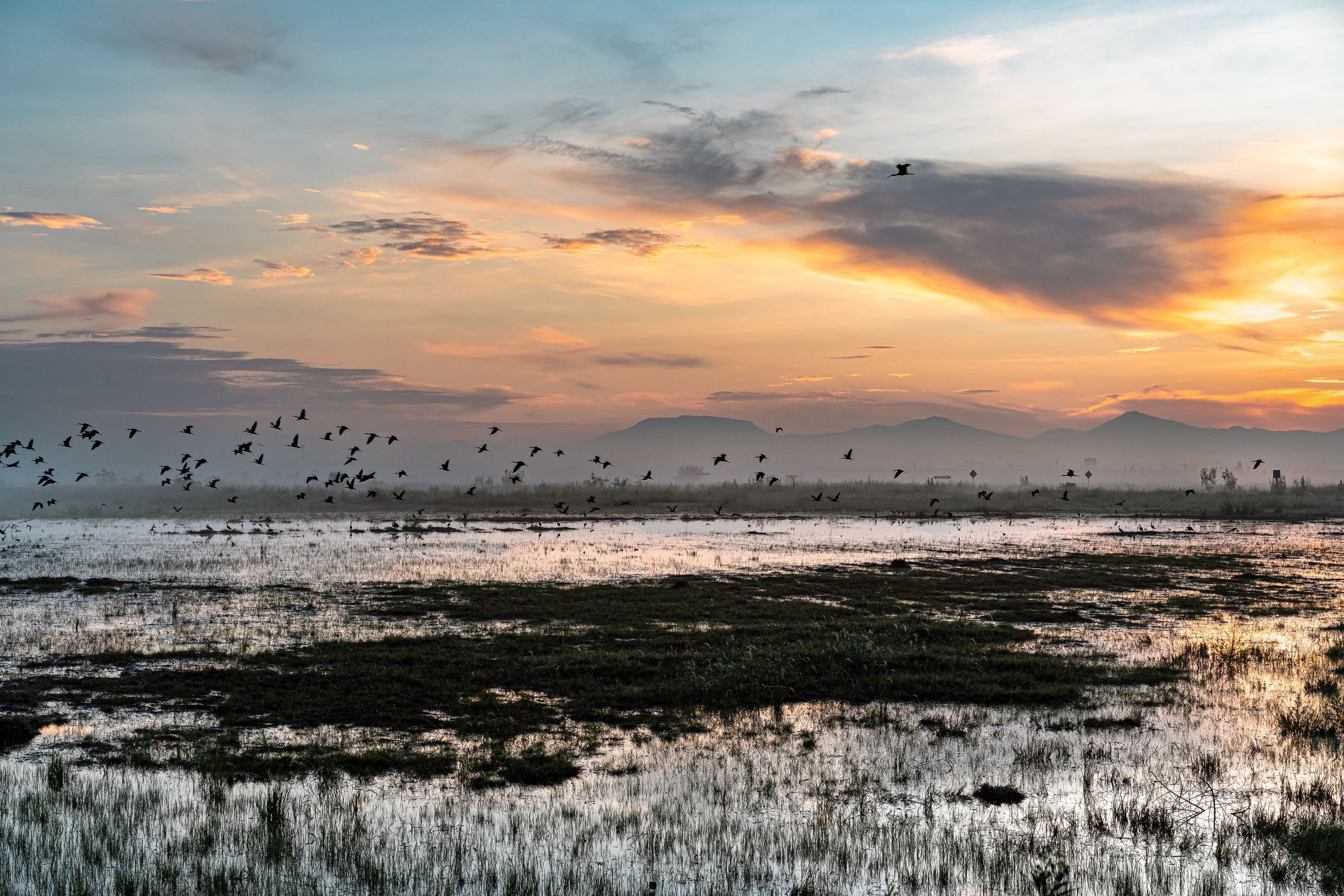 “🌧️ Mexico’s mega-airport said ‘Bye, Felicia!’ to dry land. Can’t fly if it’s a waterpark! 💦✈️ #AquaAirport”
