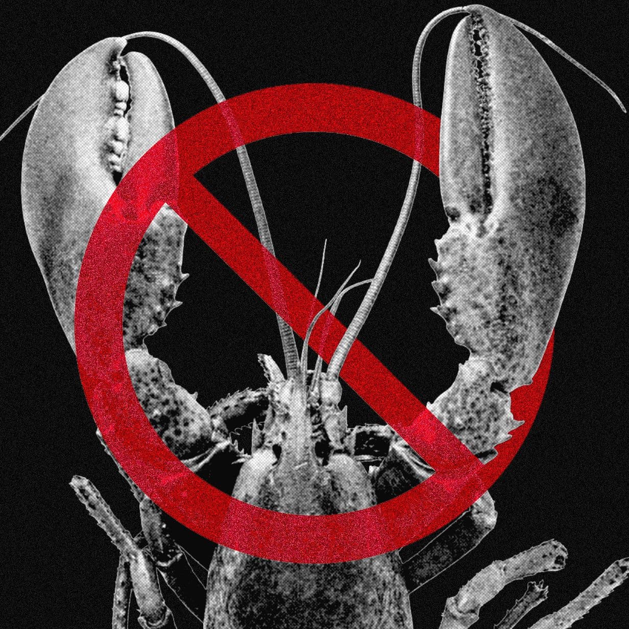 Meta and Other Tech Companies Ban OpenClaw Over Cybersecurity Concerns