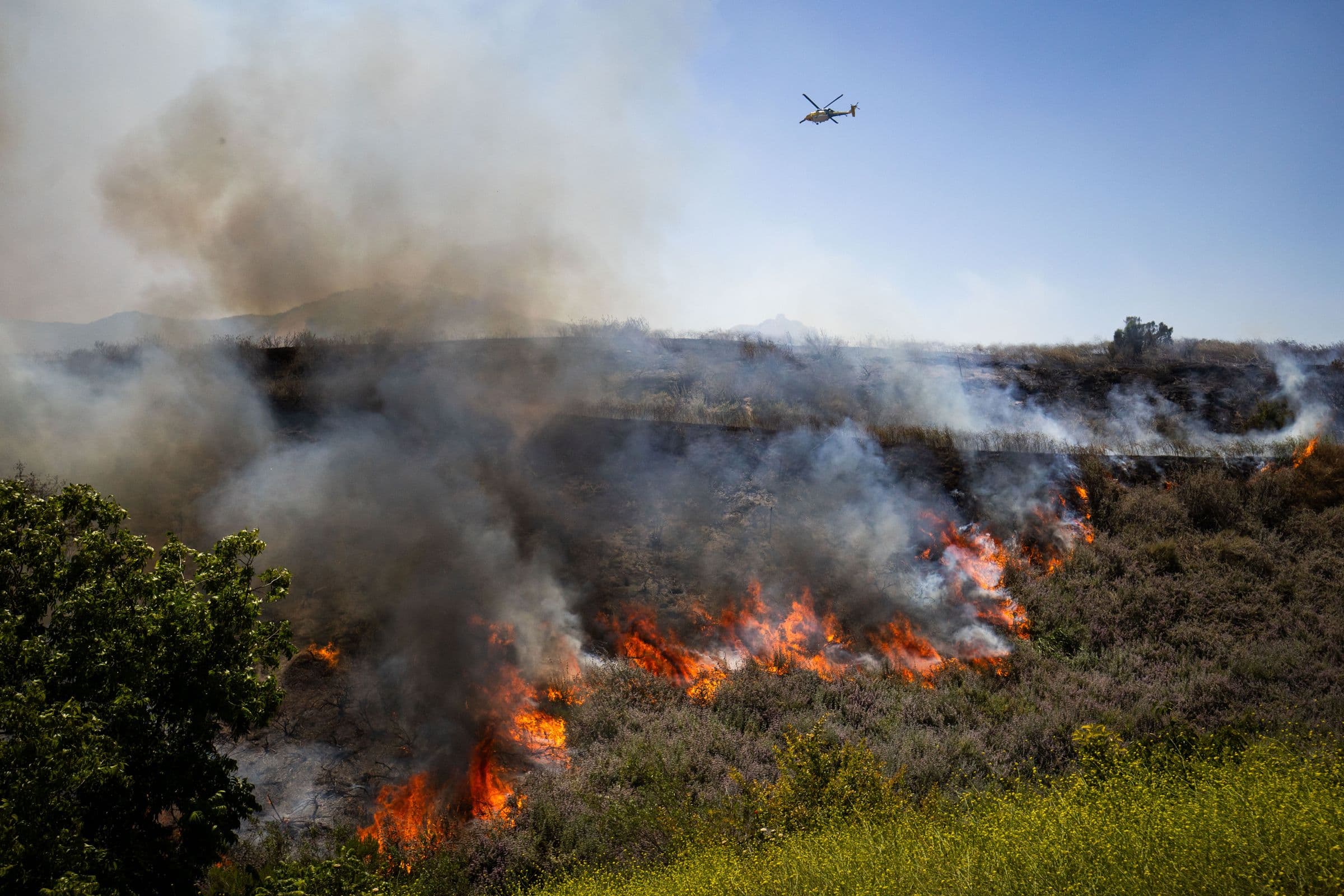 🔥CA Wildfires out here like "I’m not done yet!" while we’re just tryna vibe 😅💀 #WildfireSeason2023