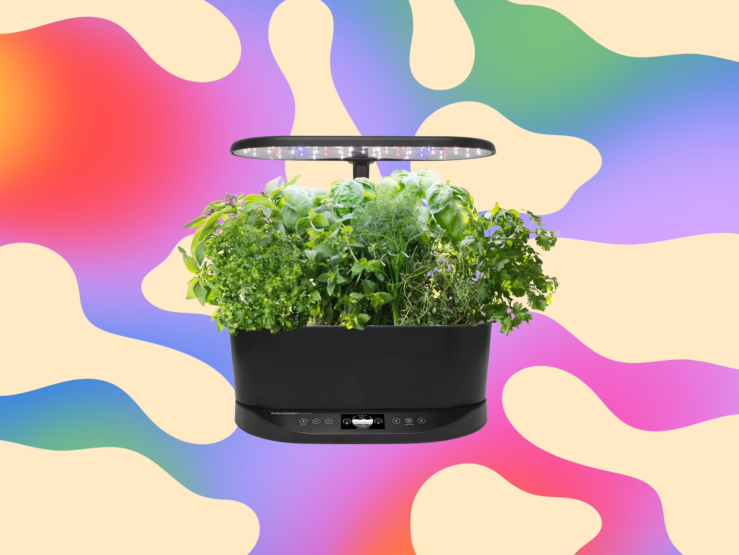 "Y’all, cop this Aerogarden for $83! 😱💰 63% off?! That’s cheaper than my last impulse buy! 🌱🔥"